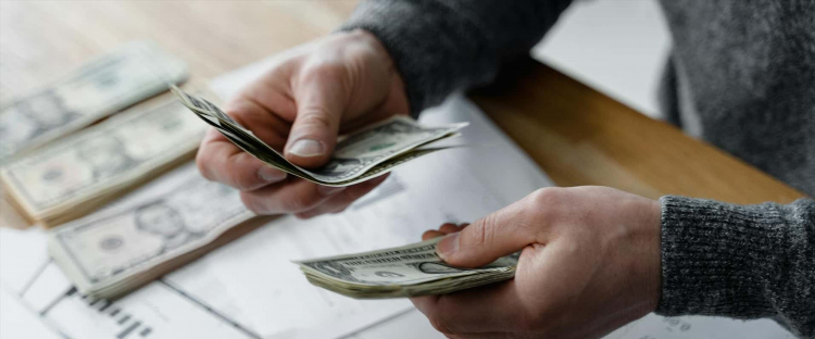 Чем можно заняться чтоб заработать деньги