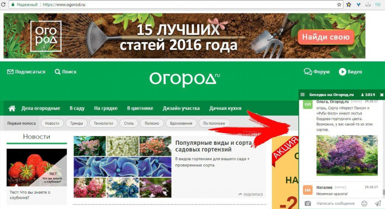 Где заработать удаленно через интернет