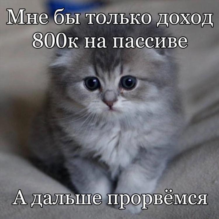 Как заработать красивой девушке в интернете