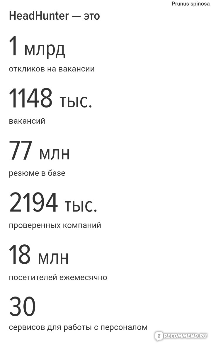 Работа в айти сфере без опыта удаленно